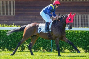 Sosafe Prix des Epinettes