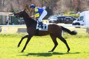 Prix du Château de Saint-Cloud