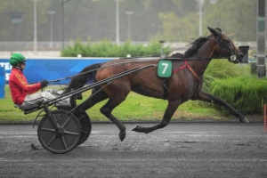 Grand Prix Anjou-Maine