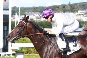 Prix du Manoir de la Salamandre
