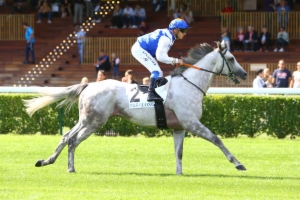 Prix d'Auxerre