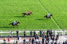 Prix Prince d'Ecouen