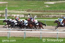 Grand Handicap de la Fibrée