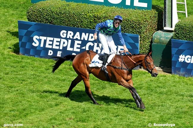 Prix Le Défi des Haras - Grand Steeple-Chase de Paris