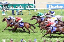 Prix Darley - Grand Handicap des Sprinters